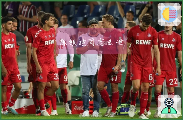 陈铁迪同志去世