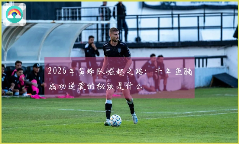2026年黄蜂队崛起之路：千年鱼腩成功逆袭的秘诀是什么