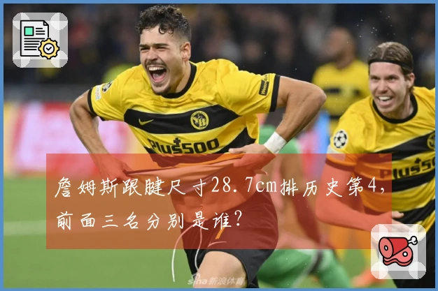 詹姆斯跟腱尺寸28.7cm排历史第4，前面三名分别是谁？