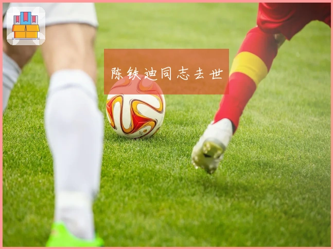 陈铁迪同志去世